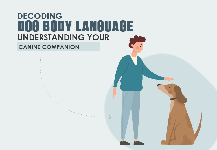 Decoding Dog Body Language: Understanding Your Canine Companion